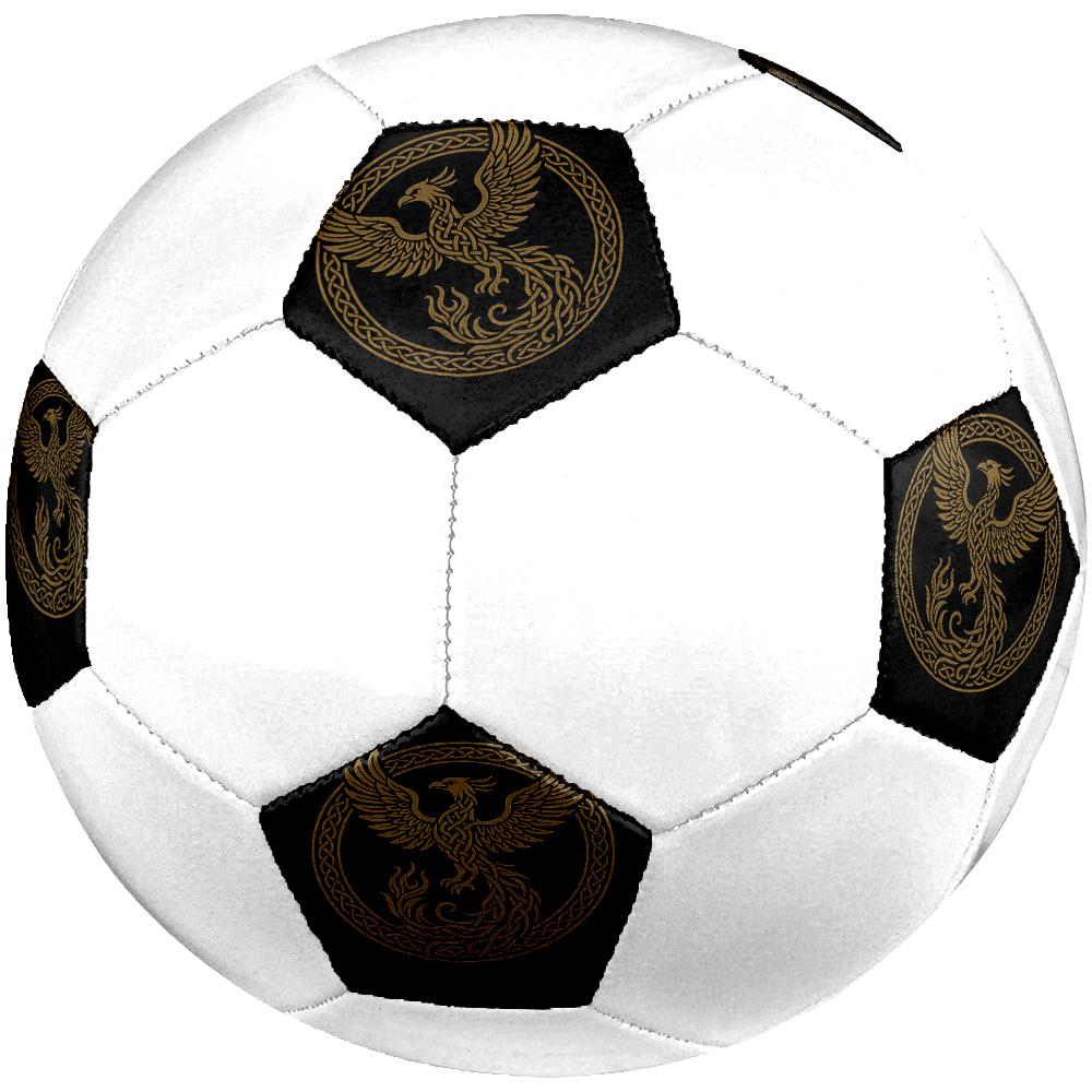 1PC Phoenix Artwork Soccer Ball Size 5 Football Machine Sewn Indoor/Outdoor Universal Football Gift W66