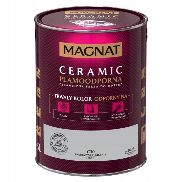 MAGNAT Ceramic Ceramic Interior Paint, Granite