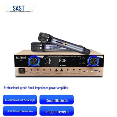 SAST D62 KTV Домашний/Конференц- Bluetooth-усилитель CN вилка (адаптер в комплекте)