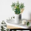 Искусственные Зеленые Растения Одиночные DIY Букет Стол Ветви 60 шт Лист Денег Белый Эвкалипт Рождественские Листья Хризантема