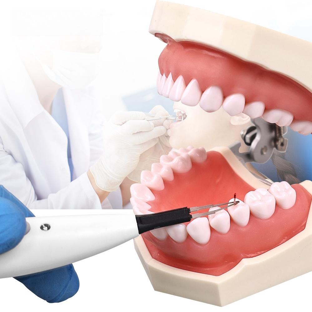 4 совета по режущему инструменту для гуттаперчи Endo Gutta Отбеливание зубов Эндодонтия Система нагревания режущего инструмента для гуттаперчи Инструмент для стоматолога