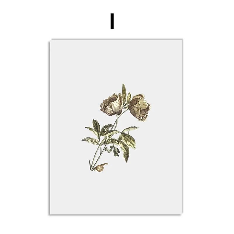 Винтажные постеры с дикими растениями, ботанические цветочные принты, картины на холсте, современные настенные художественные картины для гостиной, украшения дома