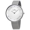 SKAGEN Серебряный браслет-сетка из нержавеющей стали SKW2140box Часы [Skagen] Женские [Товар]