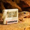 Magnetic Reptile Thermometer High Accurately Feeding Box Thermometer  Reptile Terrarium