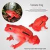 Игровой набор "Мадагаскарская томатная лягушка и лесная лягушка Ангонока"
