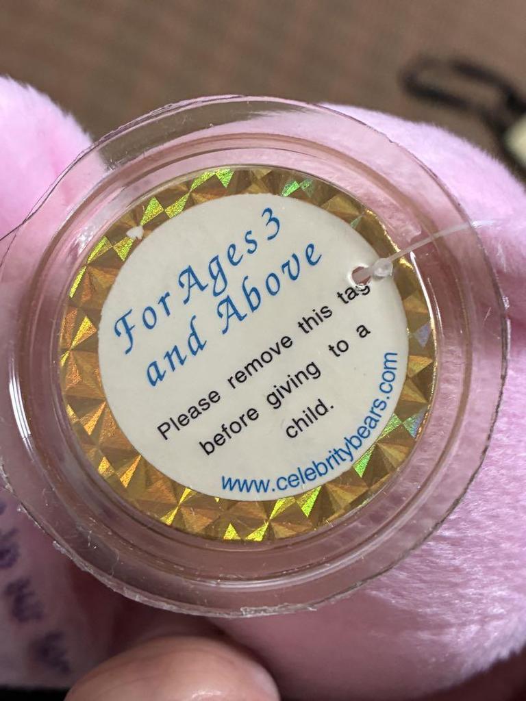 [USED] Teddy Bear Plush Toy