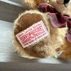 [USED] Merrythought Cheeky Christmas Holiday 100 Teddy Bears