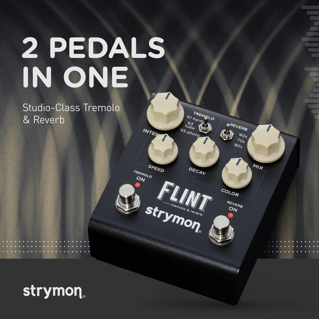 V2 Flint Reverb Tremolo Strymon/FLINT и