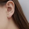 Primaute [SILVER925]XCross Cubic Earring