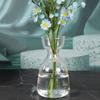 1 Pc Avocado Seed Starter Vase Transparent Glass Vase Vase For Growing Plant Glass Seed Growing Kit For Gardening Lovers