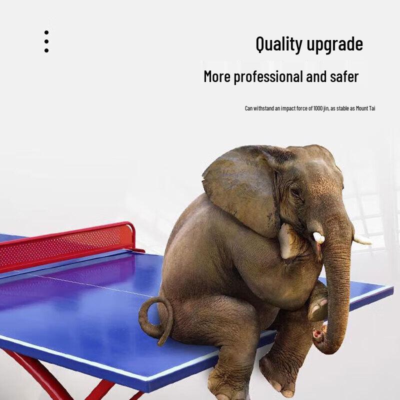 Wuyan Outdoor Steel Table Tennis Table