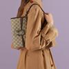 Gucci Dionysus 23 Early Spring Tiger Head Lock Buckle Removable Shoulder Strap Leather And Canvas Crossbody Bag Women crossbody bag 731782-96IWN-8747