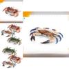 Marine Life Crab Replica For Kids Learning Aquarium Decoration Pvc Collectible