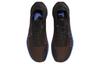 Nike Мужские кроссовки для трейлраннинга Nike Pegasus Trail 4 Gore-Tex Коричнево-сине-черные FB2193-200