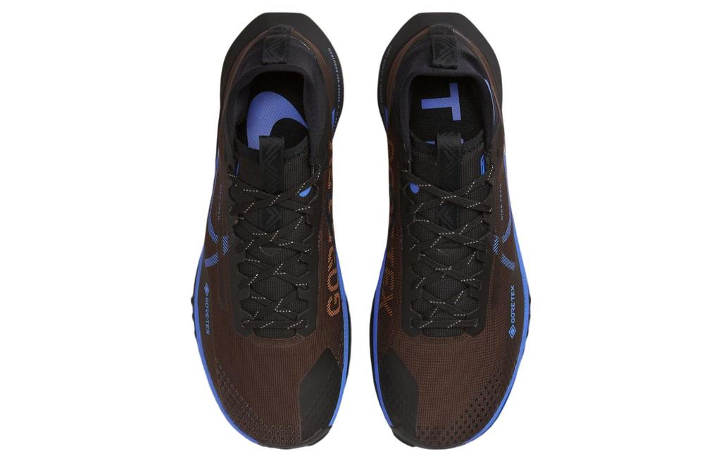 Nike Мужские кроссовки для трейлраннинга Nike Pegasus Trail 4 Gore-Tex Коричнево-сине-черные FB2193-200