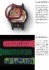 Casio Time Distortion Эксклюзив в Интернете Часы G-Shock, Серия, DW-6900TD-4JF, Мужские, Мультиколор,