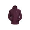 Arcteryx DELTA Fleece Clothing Men's 22234-