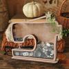 Starfishs Shape Seashells Display Box with Clear Acrylic Front Wood Seashells Holders for Shark Teeth Small Shadows Box