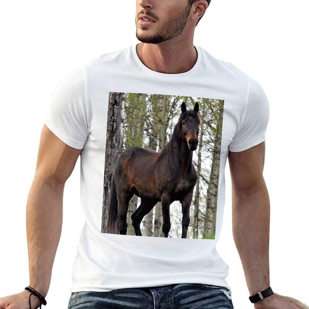 Percheron Thoroughbred Horse Tshirt Anime T Shirts Oversize T Shirts For Unisex Graphic Funny Funny T Shirts Cotton Tshirt