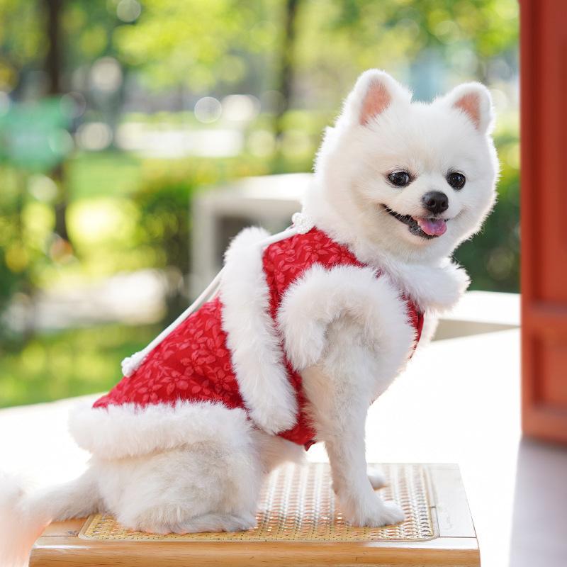 Autumn and winter velvet retro style pet clothes, New Year Tang style buckle pet dog clothes, fashionable cat clothes