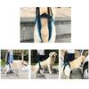 Adjustable Dog Lift Harness Pet Dogs Aid Assist Tool for Old Dogs Pet Support Sling for Back Legs Help Weak Legs Stand Up Down
