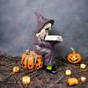 Halloween Witch Reading Book Resin Statue Ornaments, Handicraft Home Decoration Desktop Ornaments Gift