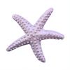 Моделирование морской звезды реалистичное искусственное реалистичное пластиковое милое звездное море для стены
