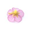 50Pcs Multicolor Daisy Flower Heads Mini Silk Artificial Flowers for Home Wedding Decoration