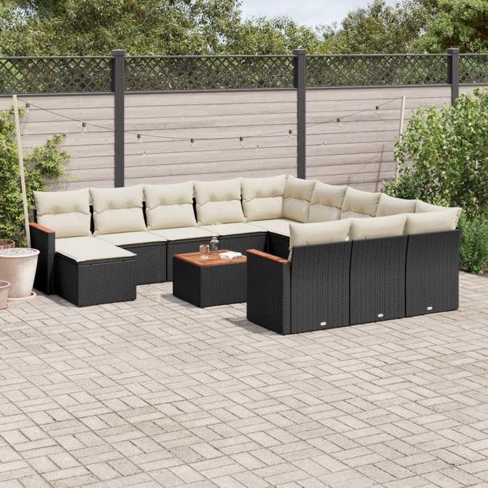 VidaXL Salon de Jardin avec Coussins 13 pcs, Canapés de Terrasse, Ensemble de Meubles de Patio, Mobilier d'Extérieur, Noir 3226588
