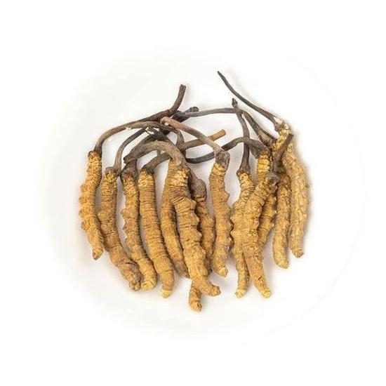 Тибетский гусеничный гриб (кордицепс) (3 г), Tibetan Keeda Jadi, MYINDIA