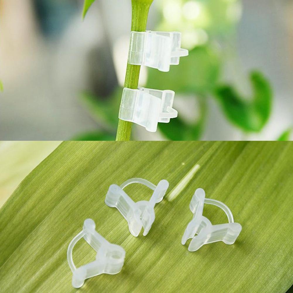 Пластиковые садовые зажимы для прививки Прозрачные овощные цветы Растения Прививка Садовые украшения Инструменты Виноградная лоза