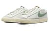 Nike Blazer '77 Low Premium "Certified Fresh" Men's Skate Shoes DO9799-100