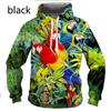 New Funny Colorful Parrot Cool Birds 3D Print Hoodie/Sweatshirt Unisex Hipster Long Sleeves Pullovers Hooded Tops