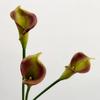 5Pcs White Calla Lily Pu Artificial Flowers Home Living Room Decoration Realistic Hoonlily Fake Flowers Wedding Floral Bouquet