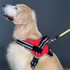 Petio Dog Torso EthicalDoor Easy Wear Harness L Red