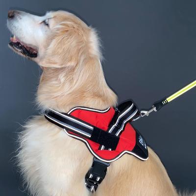 Petio Dog Torso EthicalDoor Easy Wear Harness L Красный