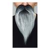 Costume Accessory - Grey Hair Mustache - Men - Interior