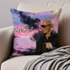 Mr Worldwide PPitbull Pillow Case Antidustmite Invisible zipper Sofa Bed