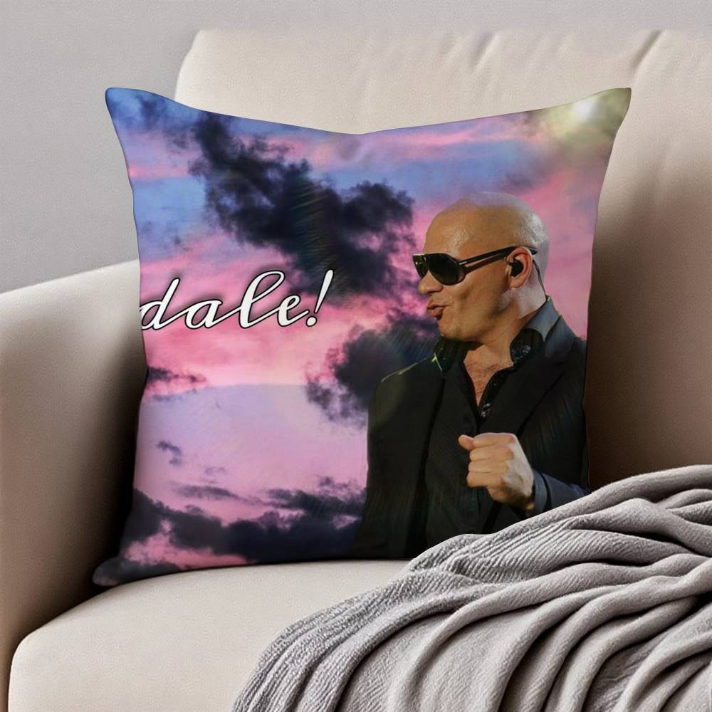 Mr Worldwide PPitbull Pillow Case Antidustmite Invisible zipper Sofa Bed