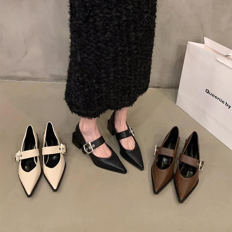 Spring Pointed Toe Women Mary Jane Shoes Fashion Thick Heel Shoes Ladies Elegant Dancing Party Dress Pumps