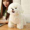 Симуляция Бишон Фризе Игрушки Собака Кукла Милый Спящий Игрушки-Спиннеры Собака Мягкая Плюшевая Игрушка Щенок Интерактивный Сопровождающий Товары для Питомцев Продукт