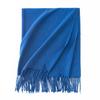 Cashmere Feel Scarf Autumn and Winter Korean Imitation Cashmere Girls High End Shawl Warm Scarf