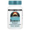 Bilberry Extract, 100 Mg, 120 Tablets