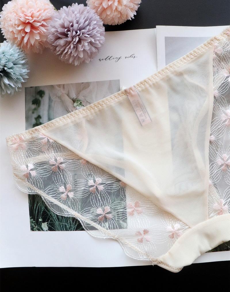 Mesh Girl Embroidery Sexy Underwear Plus Size Women Low-rise Panties Women's Ice Silk Breathable Women's Briefs