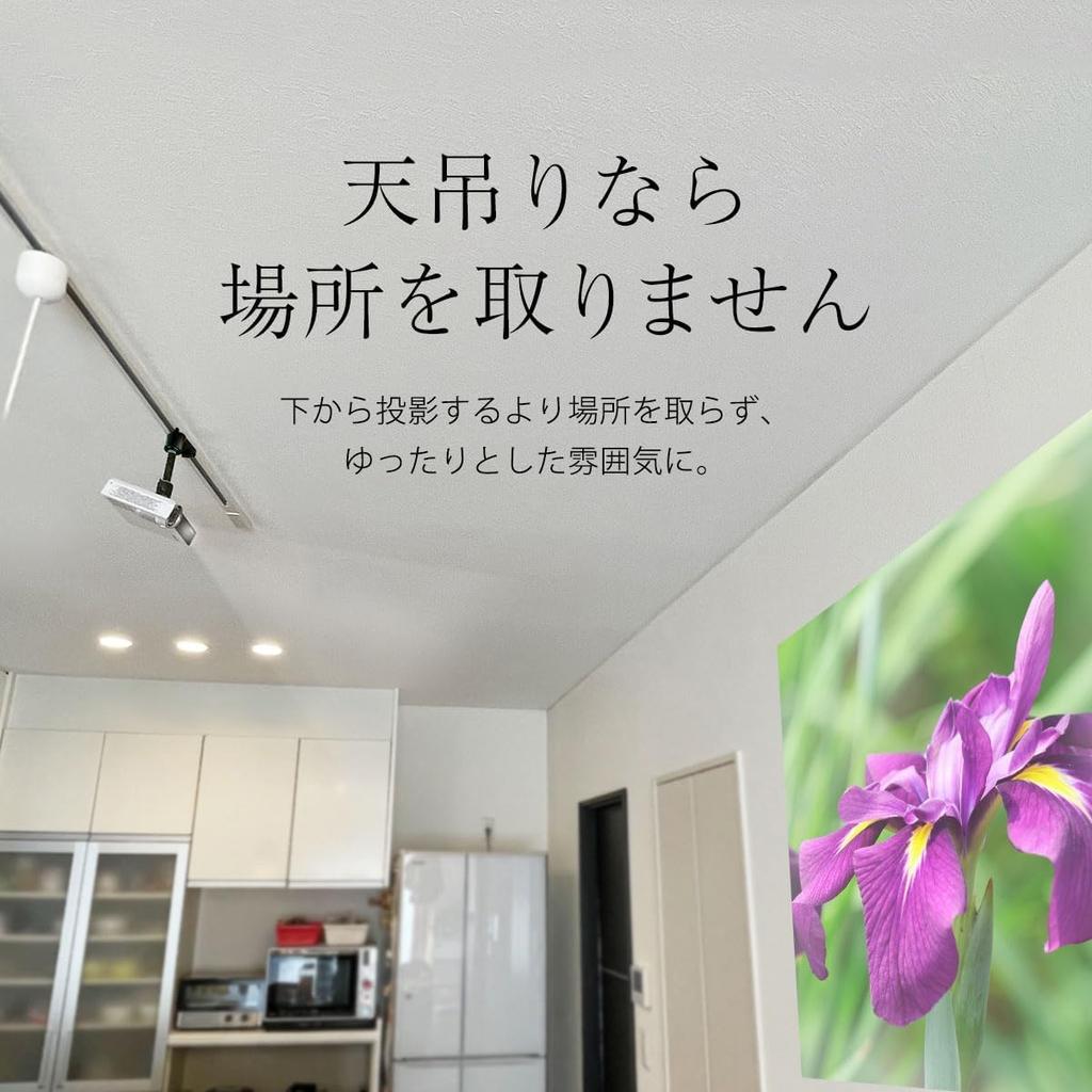 Кронштейн для крепления проектора на потолке для осветительной рейки с двойным замком, черная грузоподъемность 3 кг, заглушка в комплекте, дюймовый винт, регулировка угла, высота