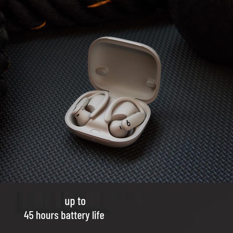 Beats Powerbeats Pro 2 True Wireless Sport Headphones