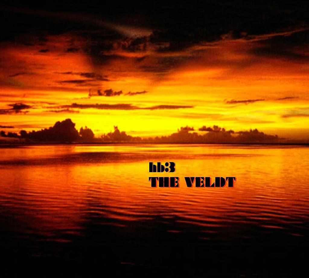 CD HB3 - Veldt Японский рок Б/У