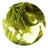 HelloYoung 100 г Китайский зеленый чай Top Xihu Longjing DragonWell, весенний листовой чай