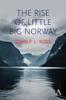 Книга The Rise of Little Big Norway