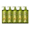 Schwarzkopf Ginger Essence Oil-Control Shampoo